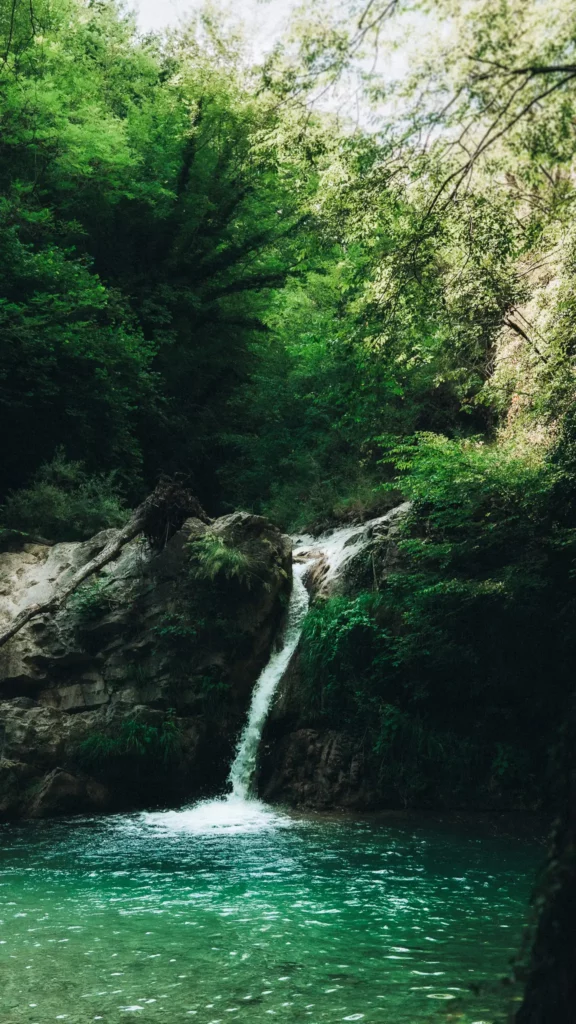 cascade photographie